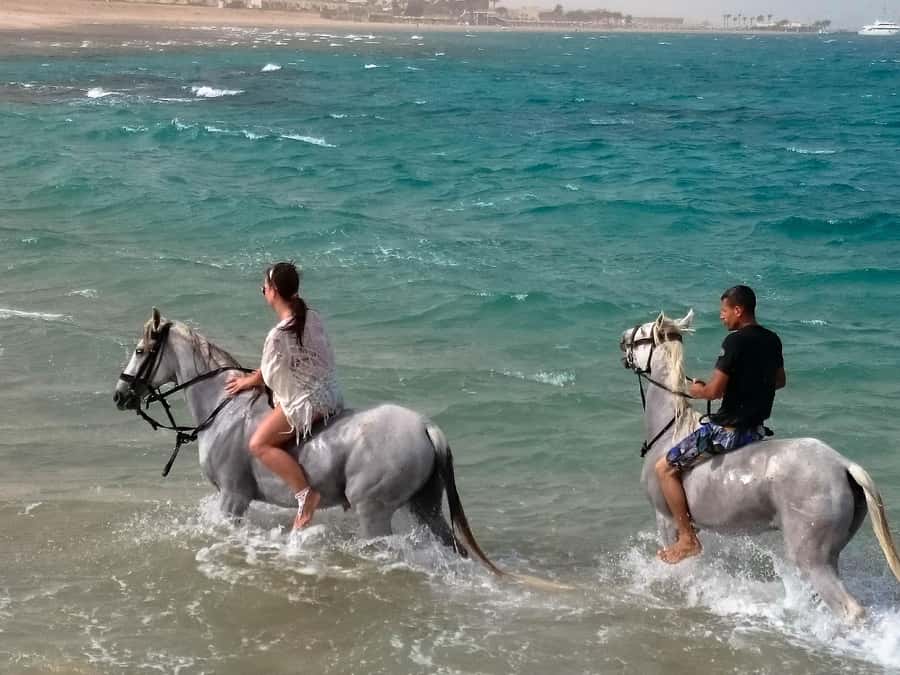 El Gouna: Desert & Sea Horse Riding With Swimming Optional - What to Bring (So You Don’t Hate Yourself During the Ride)