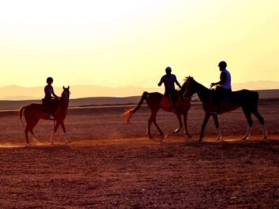 El Gouna: Desert & Sea Horse Riding With Swimming Optional - Getting From Your Hotel to the Stables: Transfers, Timing, and the Easy Fixes