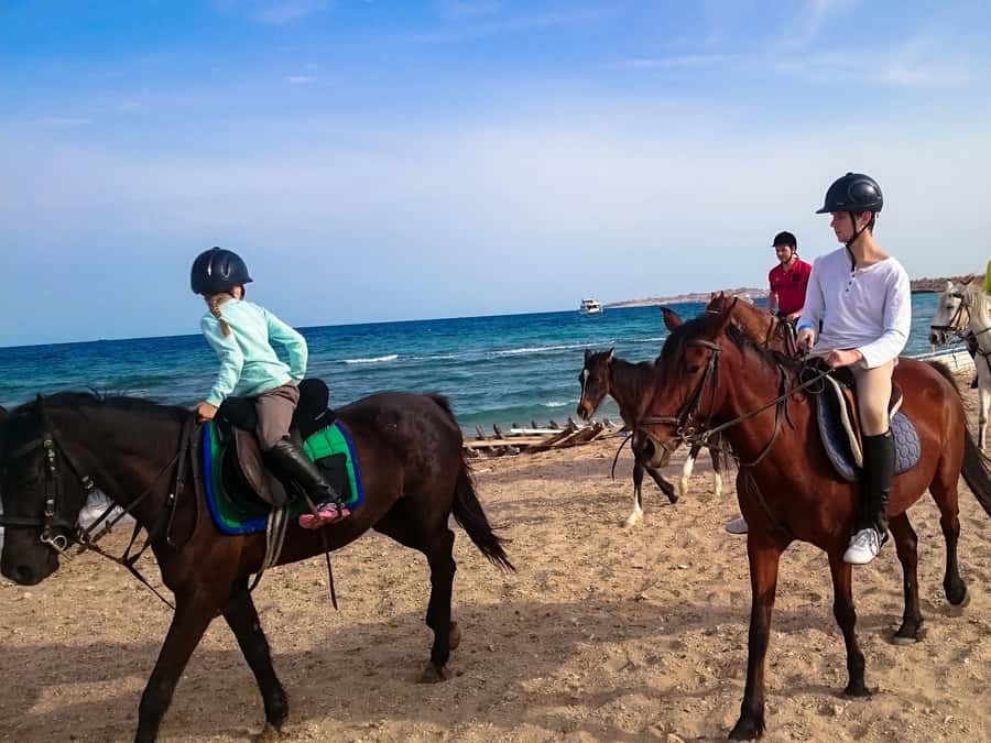 El Gouna: Desert & Sea Horse Riding With Swimming Optional - The Actual Ride: Desert Paths, Sea Views, and Photo Stops Without the Chaos