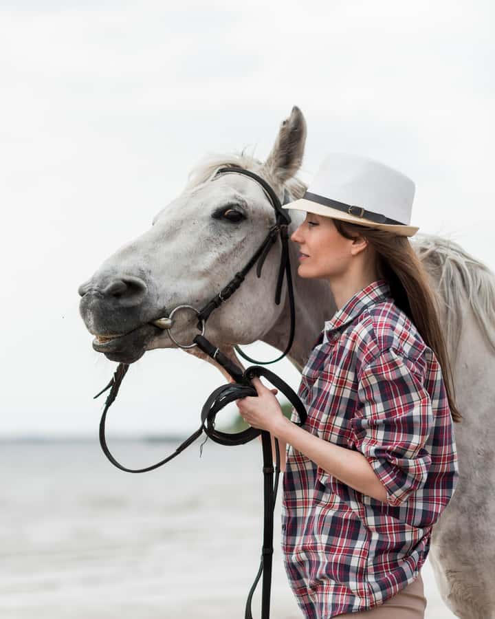 El Gouna: Desert & Sea Horse Riding With Swimming Optional - What You Learn About Your Horse (And Why It’s Not Just a Photo Op)