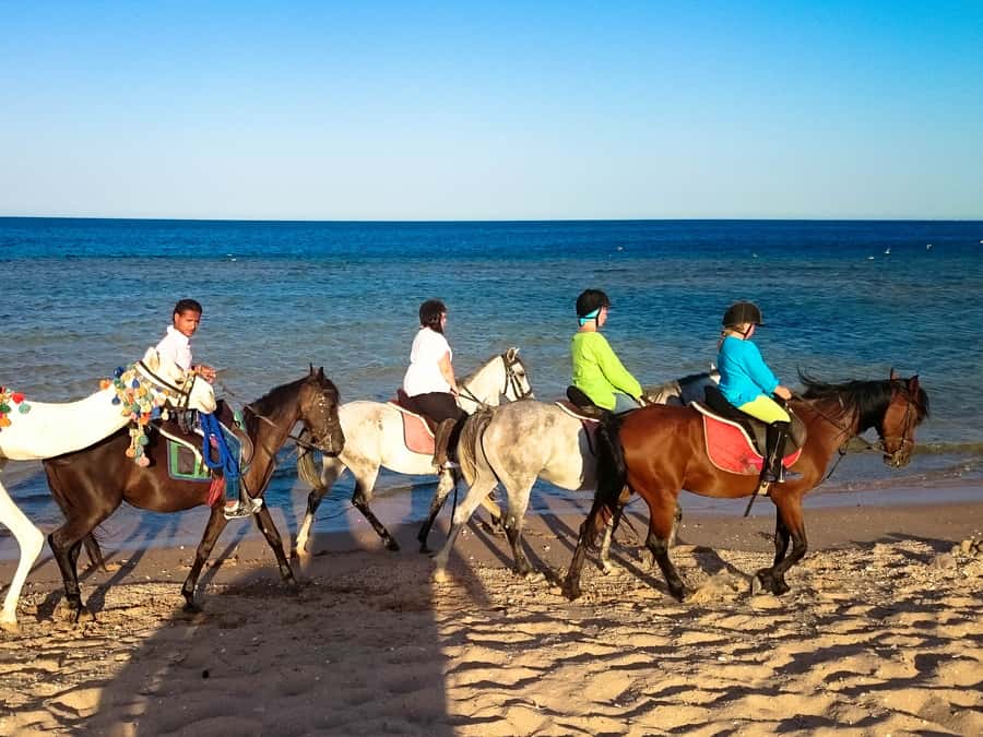 El Gouna: Desert & Sea Horse Riding With Swimming Optional - Best-Fit Options: 1H Quad + 1H Horse and Stargazing Nights