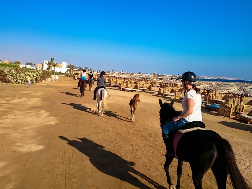 El Gouna: Desert & Sea Horse Riding With Swimming Optional - Price and Value: Does $26 Make Sense?