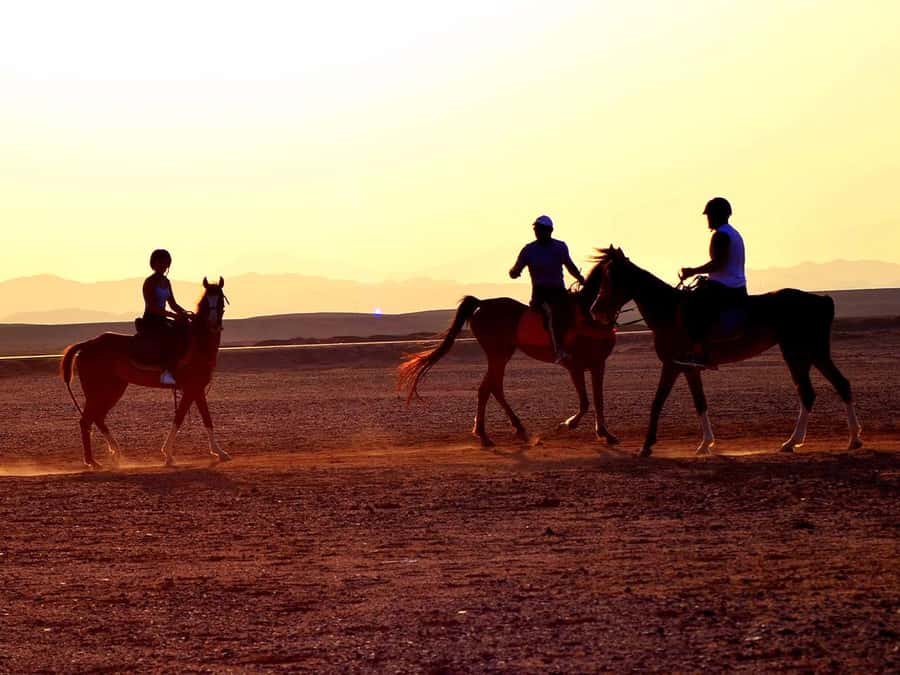 El Gouna: Desert & Sea Horse Riding With Swimming Optional - Getting From Your Hotel to the Stables: Transfers, Timing, and the Easy Fixes