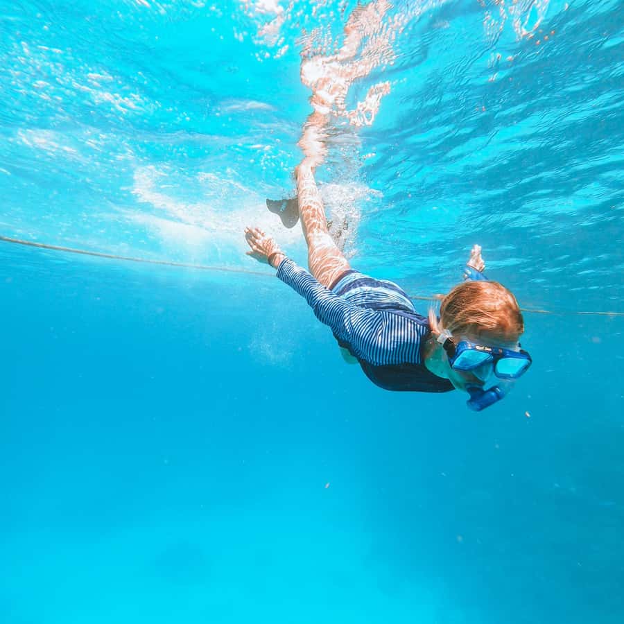 El Gouna: Red Sea Snorkeling Adventure with Transfers - The Marina Transfer and Boat Safety Briefing
