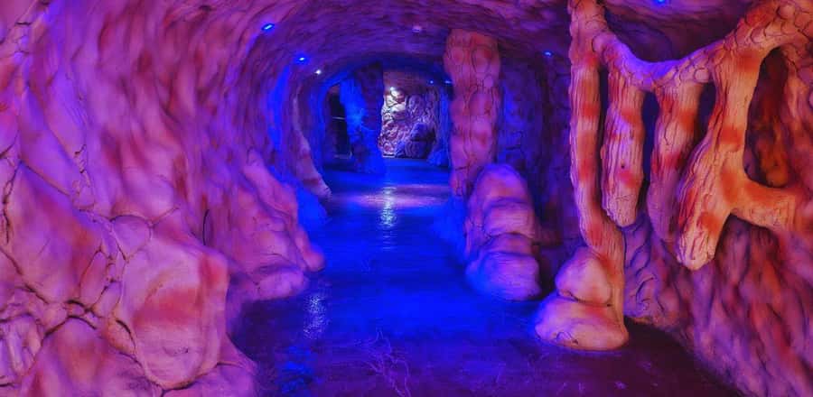Entry Ticket: Grand Aquarium Hurgada - Rainforest-to-tunnel flow: a realistic 2-hour route you can copy