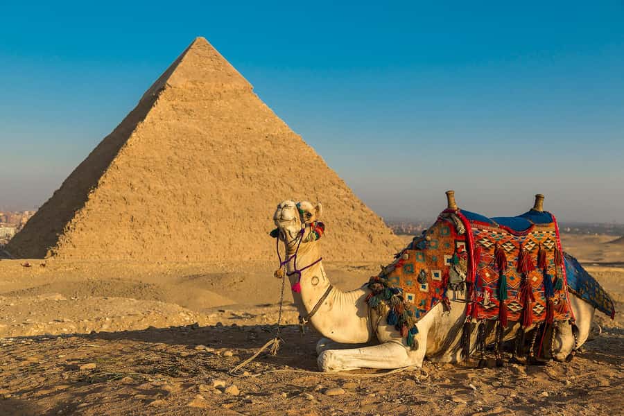Female Guided-Pyramids, Memphis, and Sakkara Day Trip - The 6-hour flow: how this day trip works from Cairo