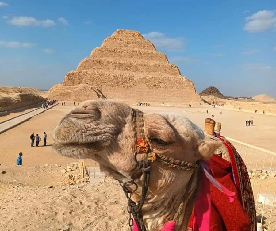 Female Guided-Pyramids, Memphis, and Sakkara Day Trip - Giza Pyramids (Cheops, Chephren, Mykerinus): the guided view that matters
