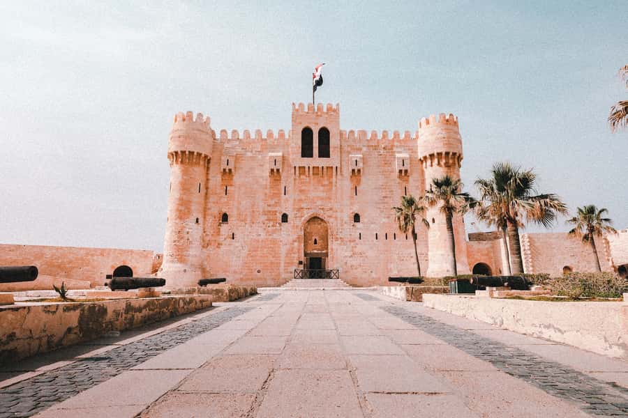 From Alexandria:- Alexandria Top Highlights half-day tour - Big mosque, Saint Mark Cathedral galleries, and the harbor view