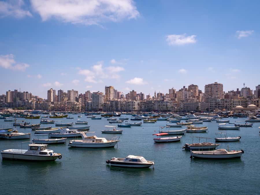 From Alexandria:- Alexandria Top Highlights half-day tour - Transportation, timing, and why $55 can make sense