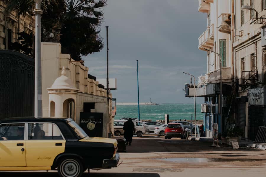 From Alexandria: Highlights of Alexandria Full City Tour - Key highlights to look for on this tour