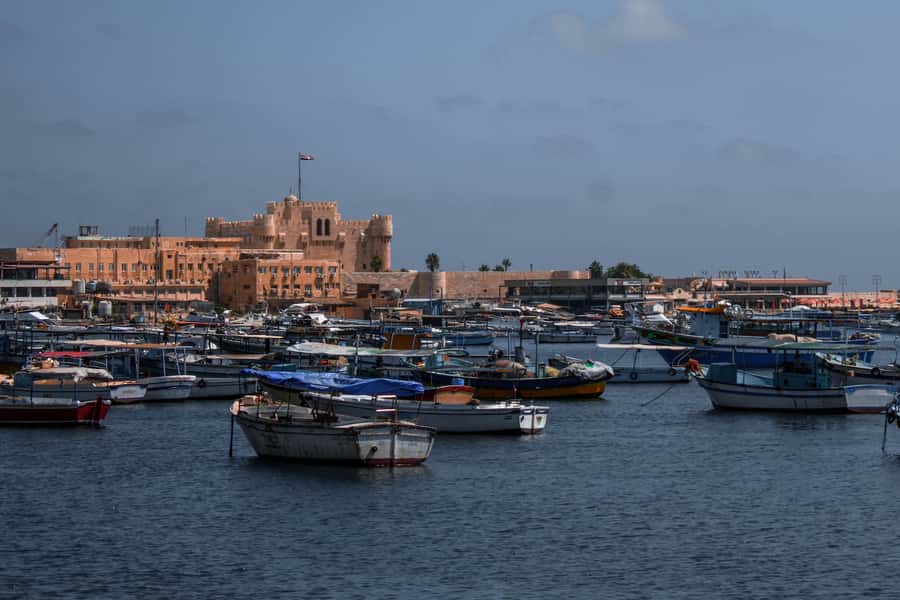 From Alexandria: Highlights of Alexandria Full City Tour - Kom El Shuqafa Catacombs: The Underground Start That Hooks You