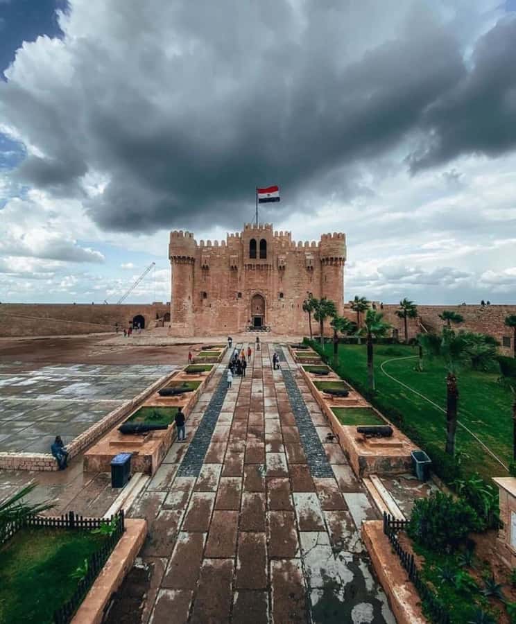 From Cairo: Alexandria Like a Local True Authentic Tour - Key highlights that make this tour worth your time