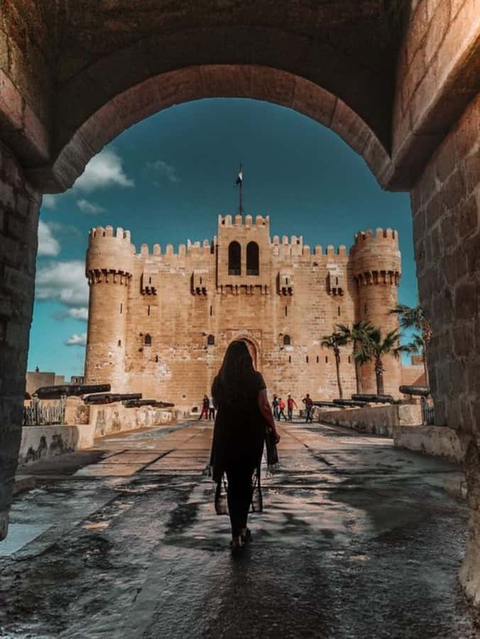 From Cairo: Alexandria Like a Local True Authentic Tour - Pompey’s Pillar, then Montazah Royal Palaces Gardens