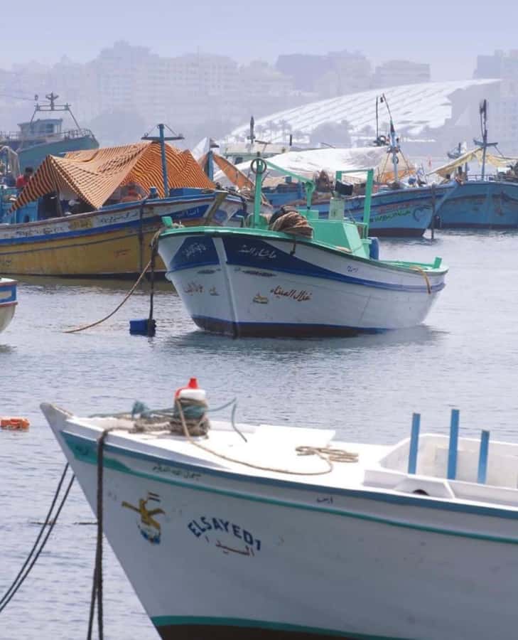From Cairo: Alexandria Like a Local True Authentic Tour - Corniche views, the Unknown Naval Soldier, and Stanley Bridge