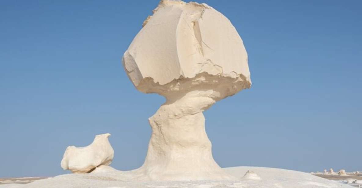 From Cairo: Bahariya Oasis and Black and White Desert Tour - Should You Book This Cairo–Bahariya–Black-and-White Desert Tour?