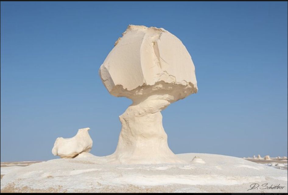 From Cairo: Bahariya Oasis and Black and White Desert Tour - Bahariya Oasis and El Bahariya: Why This Stop Matters Before the Desert
