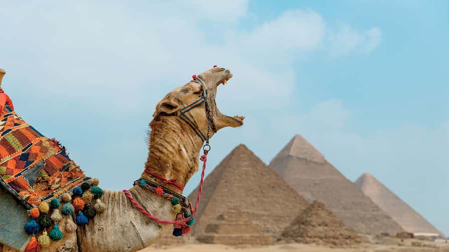 From Cairo: Camel or Horse Ride Tour Around Giza Pyramids - Cairo Pickup in a Private AC Car: A Big Part of the Value