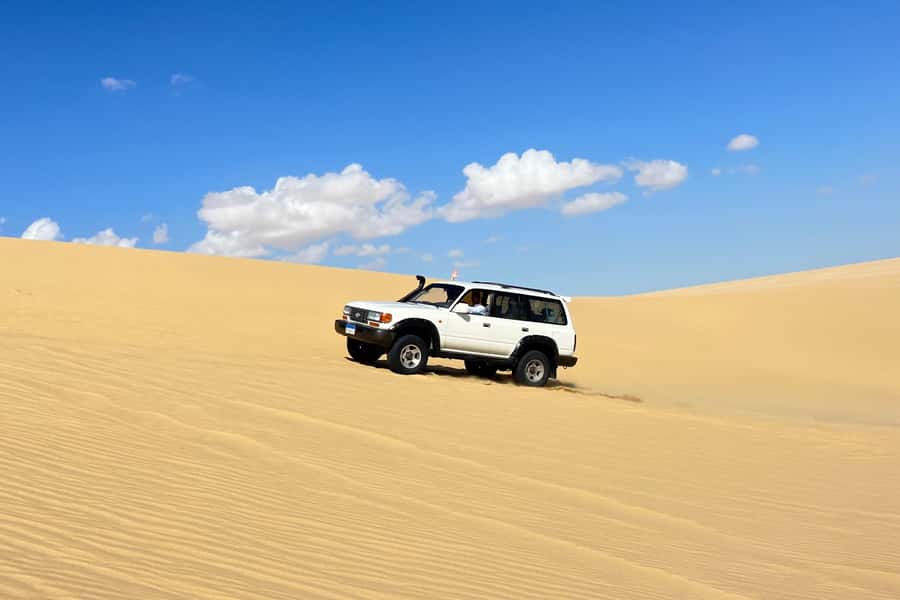 From Cairo: Desert Safari, Camel Ride, Magic Lake, & Lunch - Key Points That Matter Before You Go