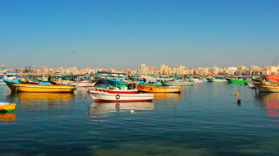 From Cairo: El Alamein and Alexandria Guided Day Tour - Why El Alamein and Alexandria Works as a 12-Hour Day Trip