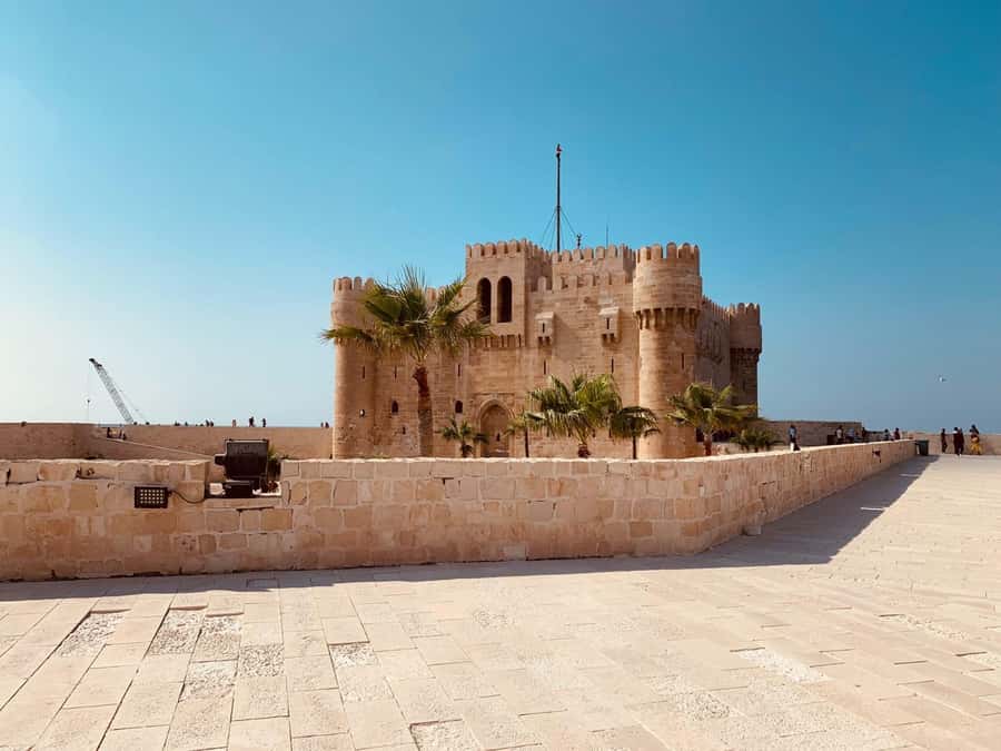 From Cairo: El Alamein and Alexandria Guided Day Tour - Price and Value: Is $188 a Fair Deal for This Much Driving?