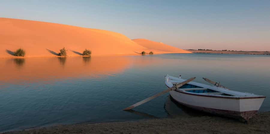 From Cairo: Fayoum Oasis and Wadi Al Rayan Guided Tour - Fayoum Oasis and Qaroun Lake: Desert Lakes That Actually Feel Special