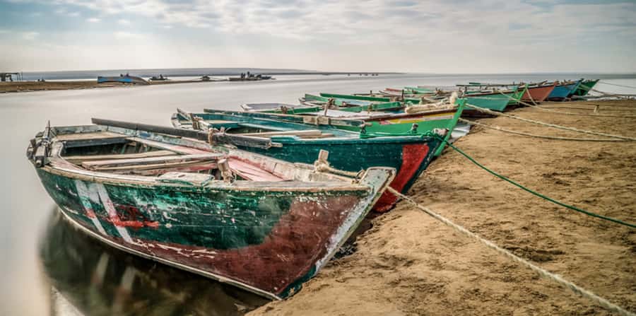From Cairo: Fayoum Oasis and Wadi Al Rayan Guided Tour - Wadi Al Rayan Nature Reserve: Lakes, Wildlife, and Egypt’s Waterfall Moment