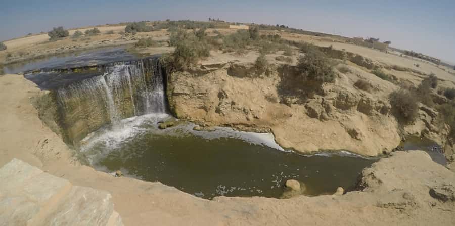 From Cairo: Fayoum Oasis and Wadi Al Rayan Guided Tour - Cairo to Fayoum: The Drive That Sets the Mood