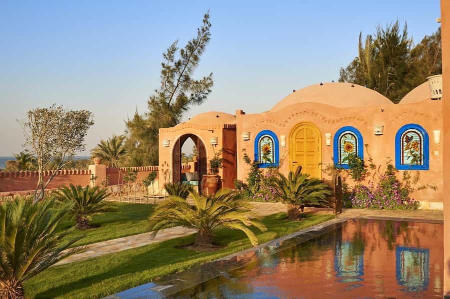 From Cairo: Full-Day Tour to El Fayoum - Key Highlights You’ll Actually Feel
