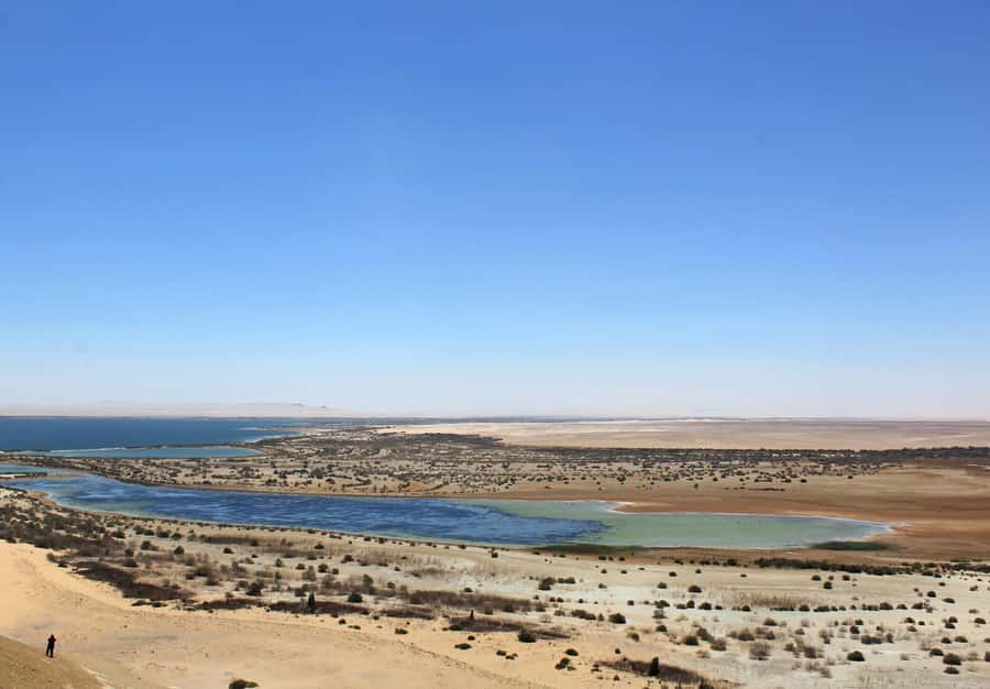 From Cairo: Full-Day Tour to El Fayoum - Qarun Lake Revisited? How the Day Keeps Moving Without Feeling Rushed