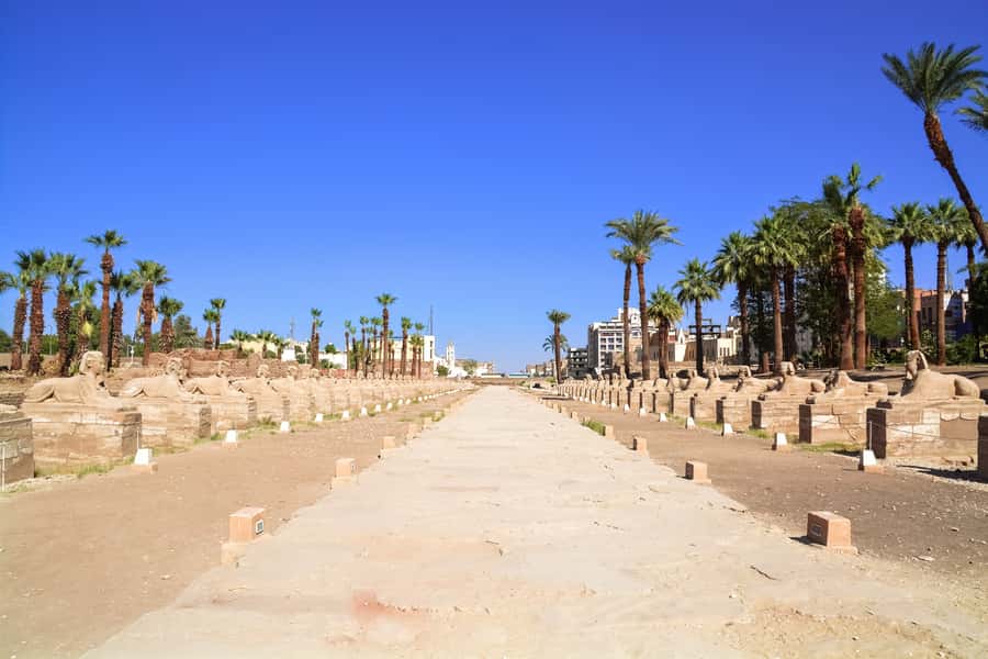From Cairo: Immersive Luxor Attractions Day Tour by Flight - Colossi of Memnon: two giants and a strong finale