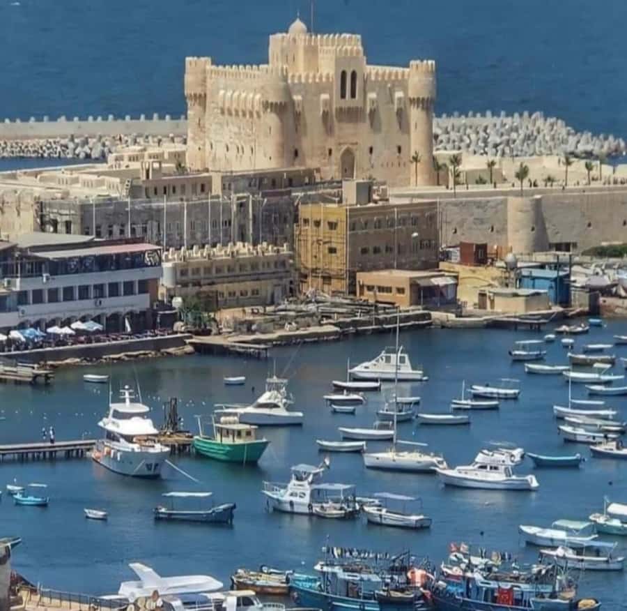 From Cairo: Overnight Trip to Alexandria - Transport, Group Pace, and What Comfort Can Look Like