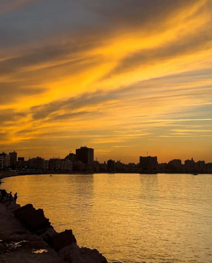 From Cairo: Overnight Trip to Alexandria - Who This Tour Fits Best (And Who Should Rethink It)