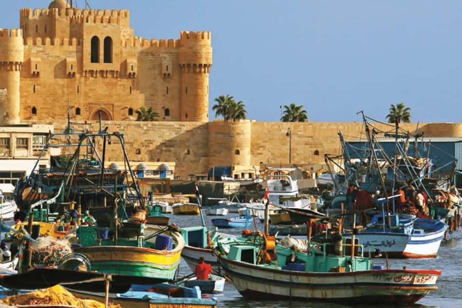 From Cairo: Private Full-Day Tour of Historical Alexandria - Kom El-Deka Roman Theatre: marble seats and a “lived-in” feel