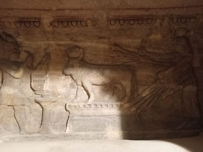 From Cairo: Private Luxurious Day Trip to Alexandria - Bibliotheca Alexandrina and the Friday Roman Theater swap