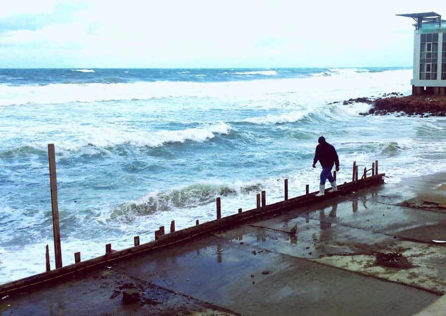 From Cairo: Private Luxurious Day Trip to Alexandria - Pompey’s Pillar and the Alexandria of emperors