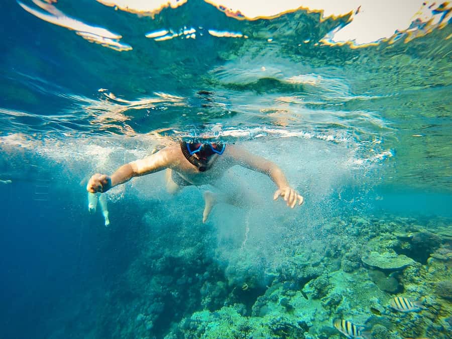 From Cairo: Snorkeling Trip on Yacht with Lunch - The 9-Hour Rhythm: Cairo Sight-Stop Then Red Sea Time