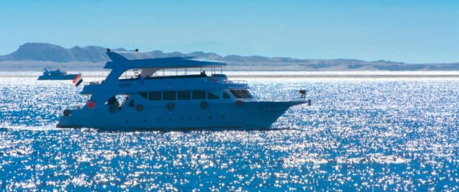 From Cairo: Snorkeling Trip on Yacht with Lunch - Getting There in Comfort: Private AC Transfers That Remove Stress