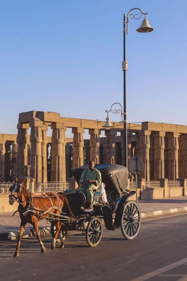 From Cairo: Trip to Luxor By Flight and King Tut Tomb Visit - Hatshepsut’s Temple at El Deir el Bahary: Terraces, Cliffs, and Scale