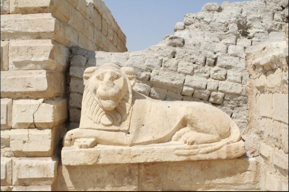 From Cairo: Whale Valley and Wadi El Rayan Waterfalls Tour - Key highlights you’ll actually care about