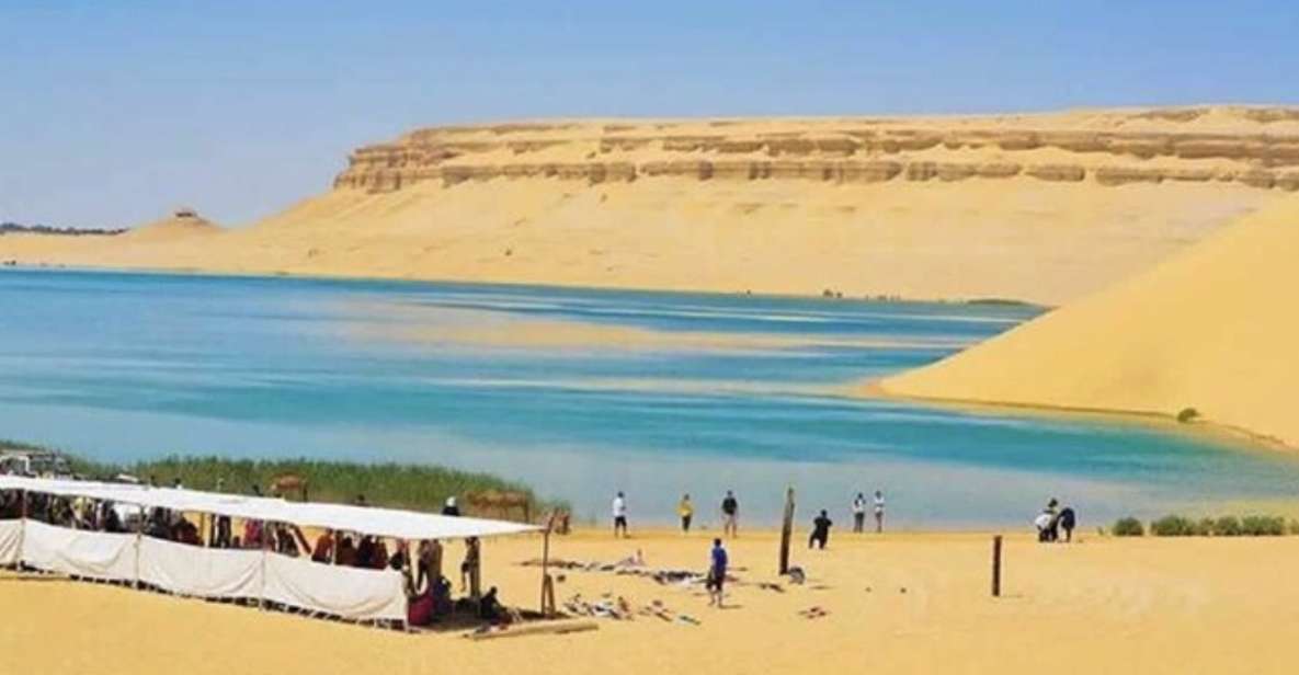 From Cairo: Whale Valley and Wadi El Rayan Waterfalls Tour - Qarun Lake: old water, unusual setting