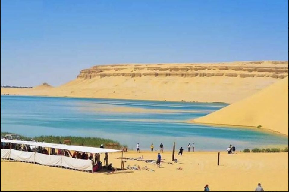 From Cairo: Whale Valley and Wadi El Rayan Waterfalls Tour - Wadi El Rayan Waterfalls: the main “look up” moment