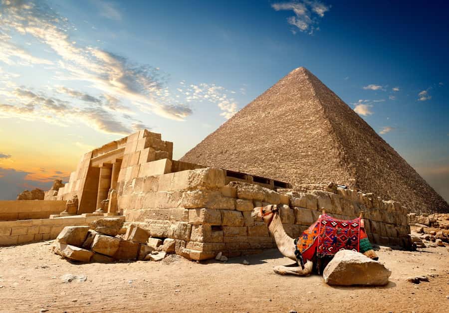 From Eilat: Cairo Private 1-Day Tour - Giza Pyramids and the Sphinx: what you can realistically see