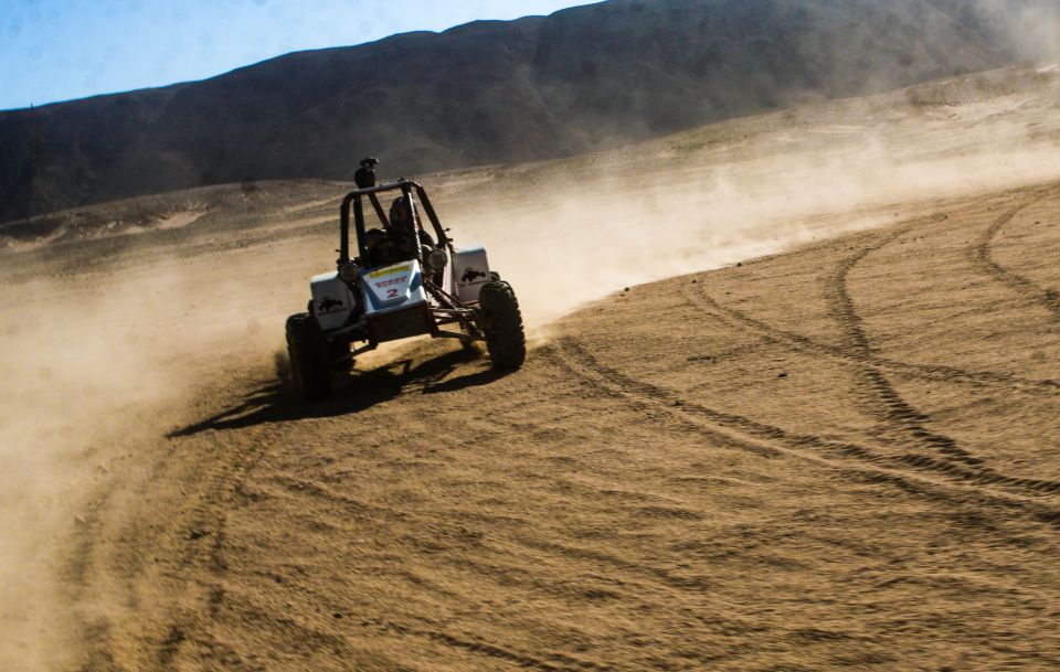 From El Gouna: Dry Canyon Quad Bike Morning Tour - Wadi Billy Dry Canyon: What to Look For During the Fossil Stops