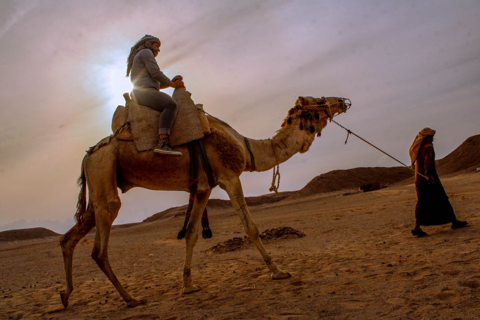 From El Gouna: Dry Canyon Quad Bike Morning Tour - The Desert Ride Back: Where the Fun Comes From