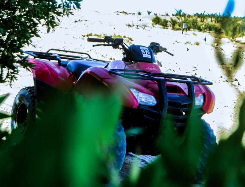From El Gouna: Dry Canyon Quad Bike Morning Tour - Price and Value: Is $68 Worth It?