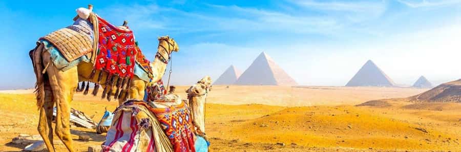 From Giza: Day tour to Giza Pyramids Tour with Pickup - Sphinx and Valley Temple stops: getting context without running out of time