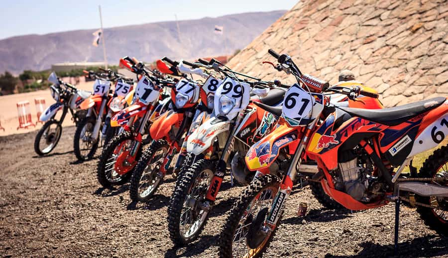 From Hurghada: El Gouna Quad and MX Bike Safari Tour - Should you book the El Gouna Quad and MX Bike Safari?