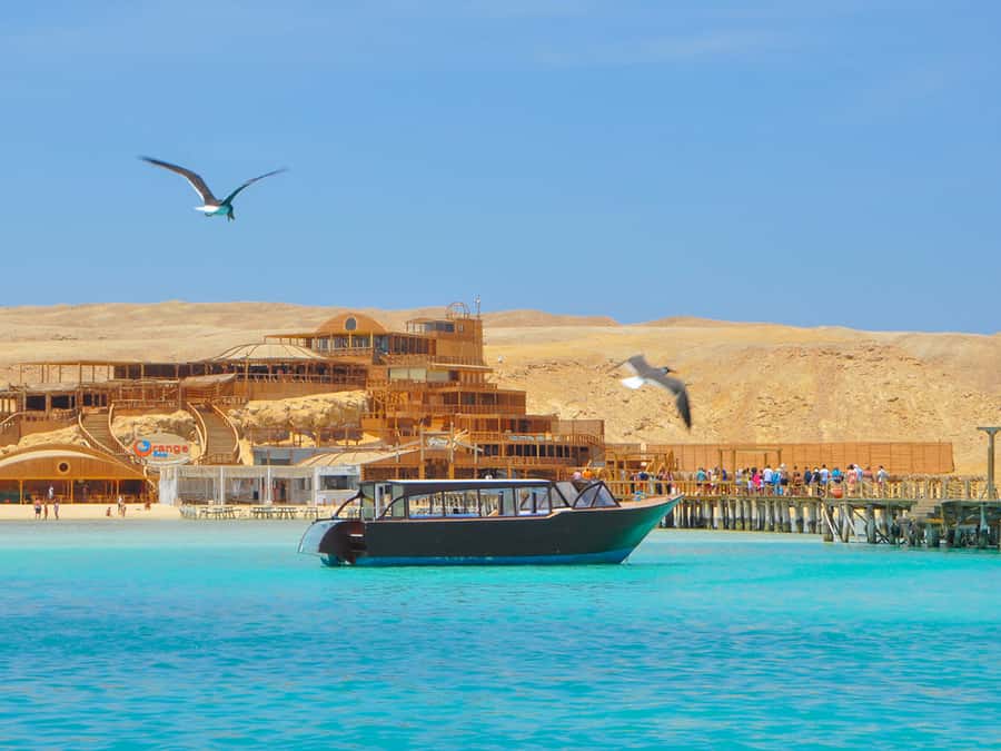 From Hurghada: Giftun Island Cruise with Lunch & Watersports - Snorkeling coral reefs: what you can expect in real terms