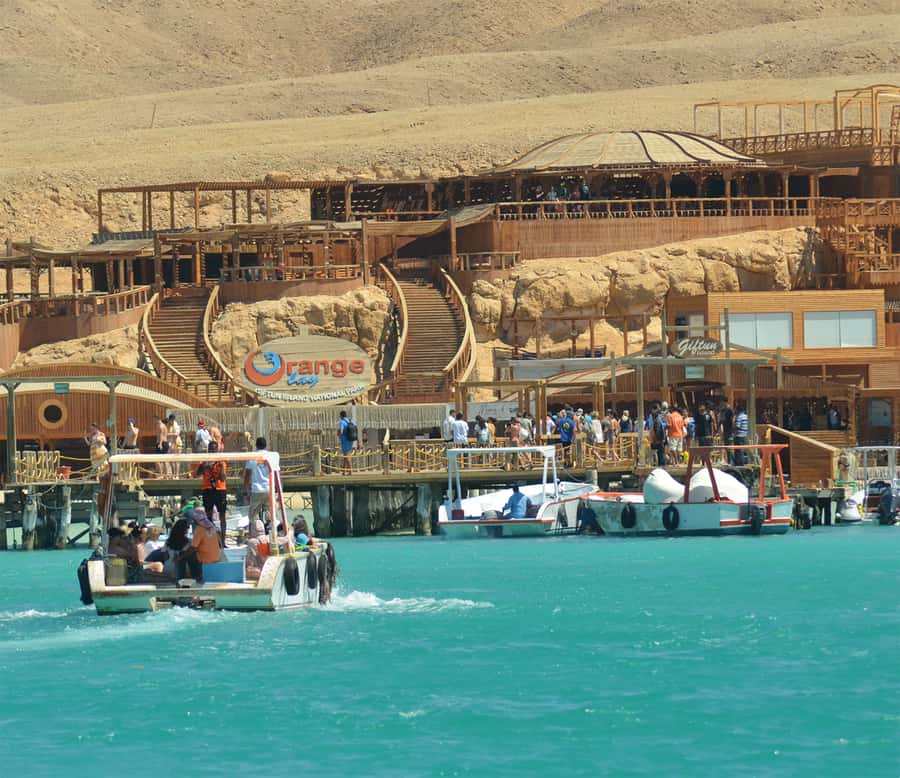 From Hurghada: Giftun Island Cruise with Lunch & Watersports - Logistics that can make or break your mood