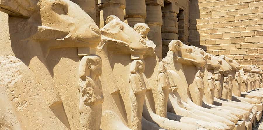 From Hurghada: Luxor Private Guided Tour - Guide communication and timing: the real make-or-break